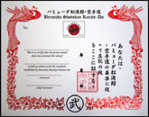 Chinese Martial Arts Certificate