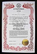 Custom Phoenix Martial Arts Certificate