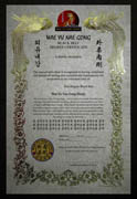 Custom Phoenix Martial Arts Certificate