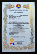 Custom Phoenix Martial Arts Certificate