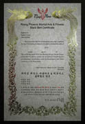 Custom Phoenix Martial Arts Certificate