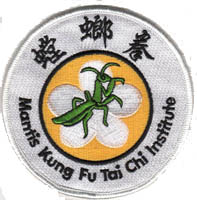 4 inches patch
